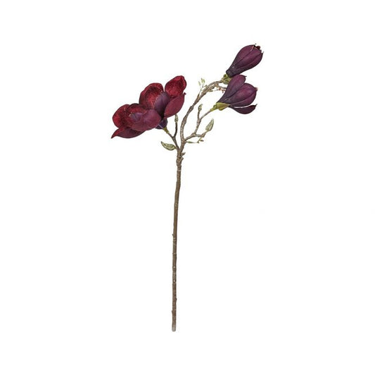 Vacker magnoliagren 'aubergine' 70 cm 1 DeluxeHomeartShop Sverige